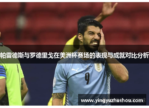 帕雷德斯与罗德里戈在美洲杯赛场的表现与成就对比分析