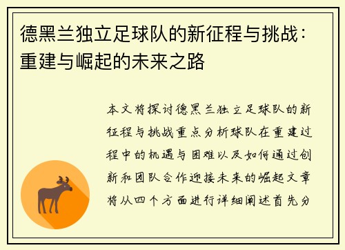 德黑兰独立足球队的新征程与挑战：重建与崛起的未来之路