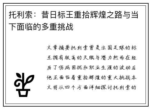 托利索:昔日标王重拾辉煌之路与当下面临的多重挑战 托利索:昔日标王重拾辉煌之路与当下面临的多重挑战