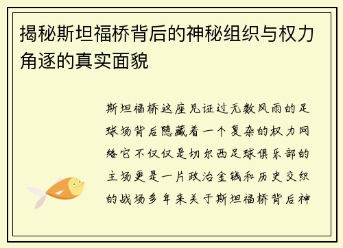 揭秘斯坦福桥背后的神秘组织与权力角逐的真实面貌