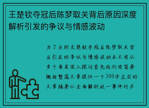 王楚钦夺冠后陈梦取关背后原因深度解析引发的争议与情感波动